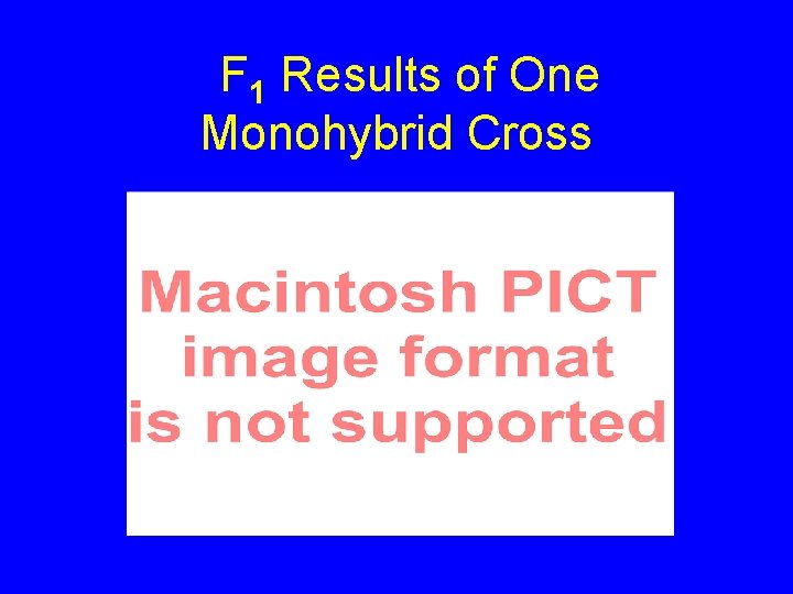 F 1 Results of One Monohybrid Cross 