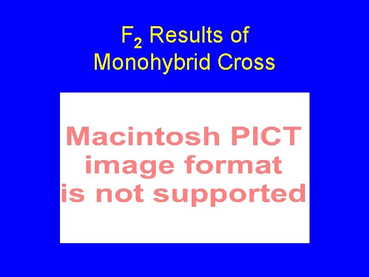 F 2 Results of Monohybrid Cross 