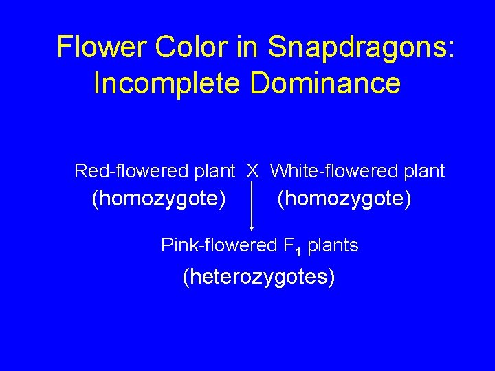 Flower Color in Snapdragons: Incomplete Dominance Red-flowered plant X White-flowered plant (homozygote) Pink-flowered F