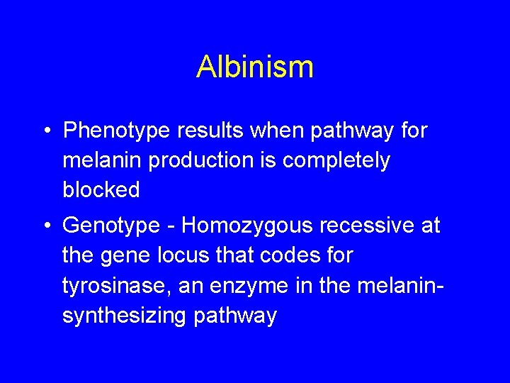 Albinism • Phenotype results when pathway for melanin production is completely blocked • Genotype