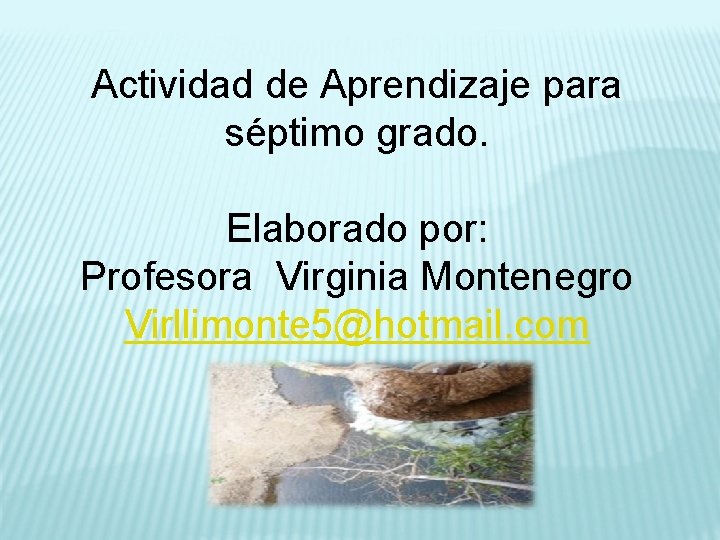 Actividad de Aprendizaje para séptimo grado. Elaborado por: Profesora Virginia Montenegro Virllimonte 5@hotmail. com
