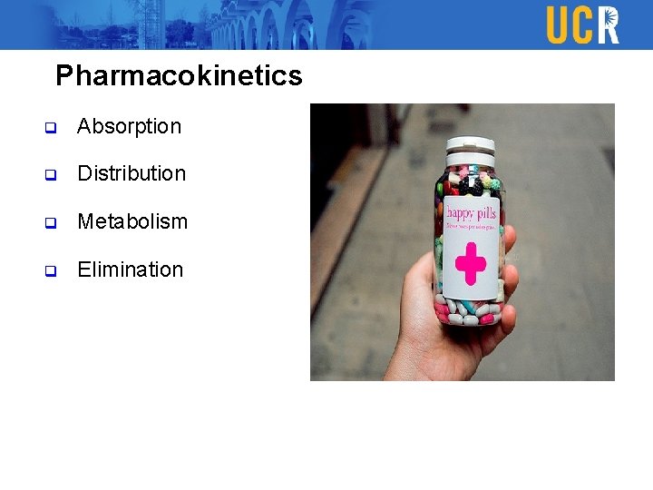 Pharmacokinetics q Absorption q Distribution q Metabolism q Elimination 