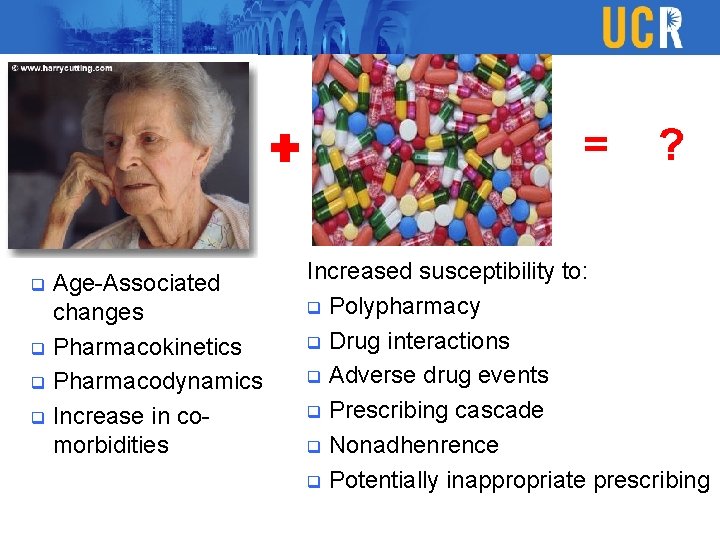 ✚ Age-Associated changes q Pharmacokinetics q Pharmacodynamics q Increase in comorbidities q = ?