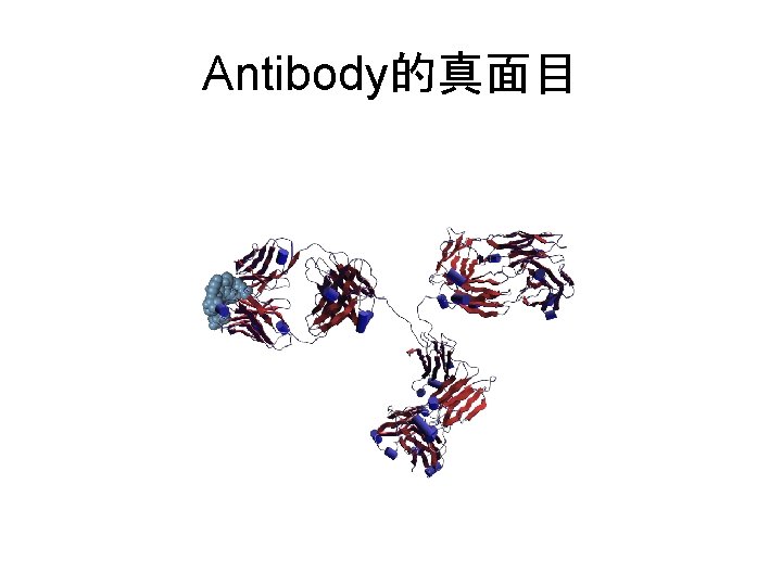 Antibody的真面目 