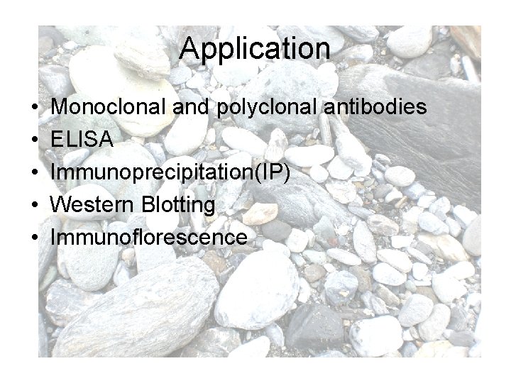 Application • • • Monoclonal and polyclonal antibodies ELISA Immunoprecipitation(IP) Western Blotting Immunoflorescence 