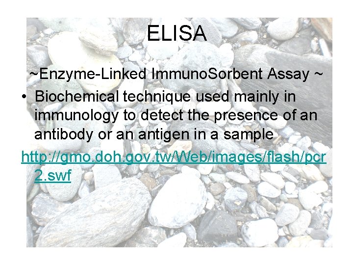 ELISA ~Enzyme-Linked Immuno. Sorbent Assay ~ • Biochemical technique used mainly in immunology to