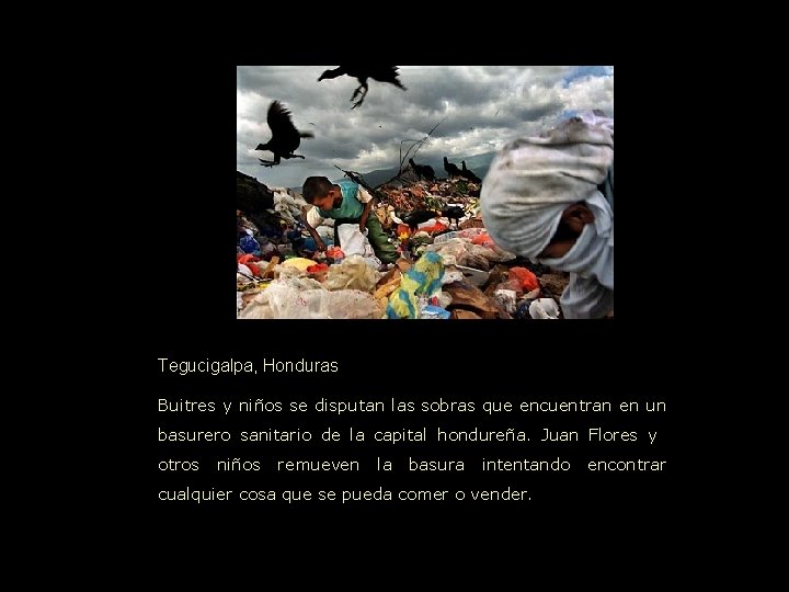 Tegucigalpa, Honduras Buitres y niños se disputan las sobras que encuentran en un basurero