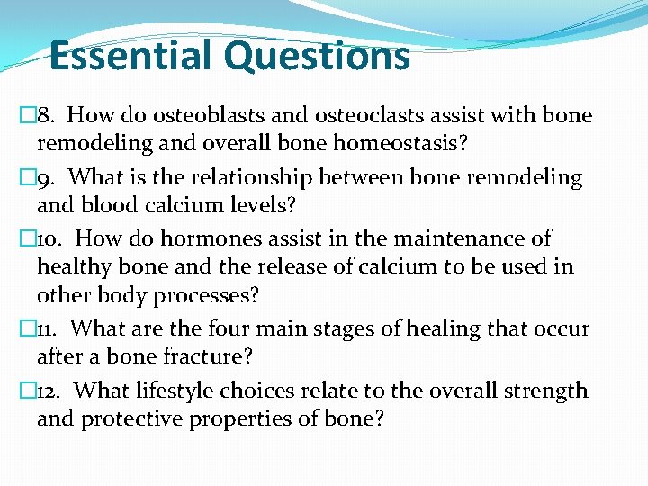 Essential Questions � 8. How do osteoblasts and osteoclasts assist with bone remodeling and