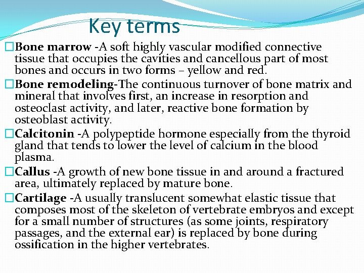 Key terms �Bone marrow -A soft highly vascular modified connective tissue that occupies the