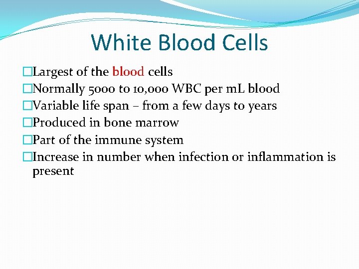 White Blood Cells �Largest of the blood cells �Normally 5000 to 10, 000 WBC