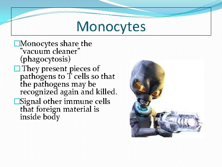 Monocytes �Monocytes share the "vacuum cleaner" (phagocytosis) � They present pieces of pathogens to