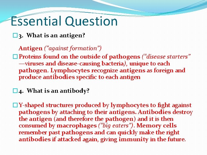 Essential Question � 3. What is an antigen? Antigen (“against formation”) �Proteins found on