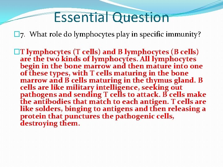 Essential Question � 7. What role do lymphocytes play in specific immunity? �T lymphocytes