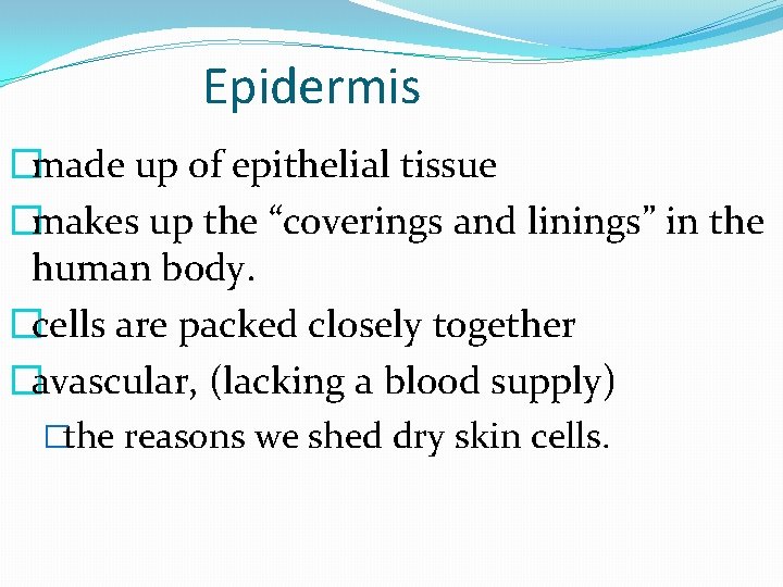 Epidermis �made up of epithelial tissue �makes up the “coverings and linings” in the