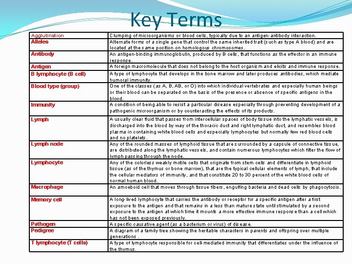 Key Terms Agglutination Alleles Antibody Antigen B lymphocyte (B cell) Blood type (group) Immunity