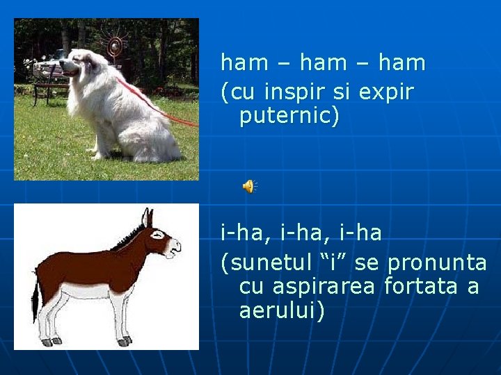 ham – ham (cu inspir si expir puternic) i-ha, i-ha (sunetul “i” se pronunta