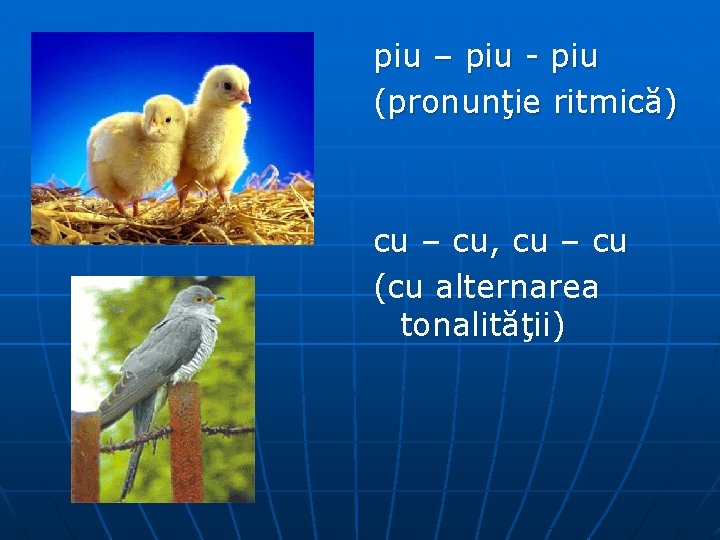 piu – piu - piu (pronunţie ritmică) cu – cu, cu – cu (cu