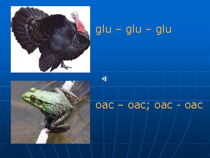 glu – glu oac – oac; oac - oac 