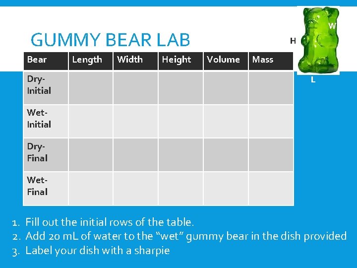 W GUMMY BEAR LAB Bear Dry. Initial Length Width Height H Volume Mass L W GUMMY BEAR LAB Bear Dry. Initial Length Width Height H Volume Mass L