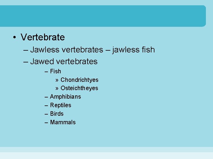 • Vertebrate – Jawless vertebrates – jawless fish – Jawed vertebrates – Fish