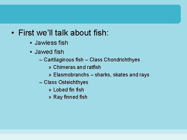  • First we’ll talk about fish: • Jawless fish • Jawed fish –