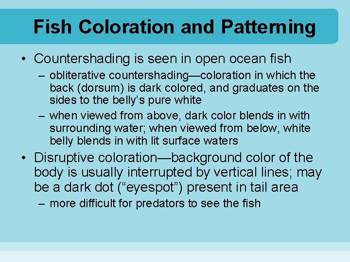 Fish Coloration and Patterning • Countershading is seen in open ocean fish – obliterative