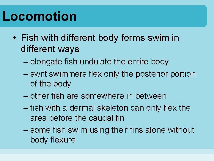 Locomotion • Fish with different body forms swim in different ways – elongate fish