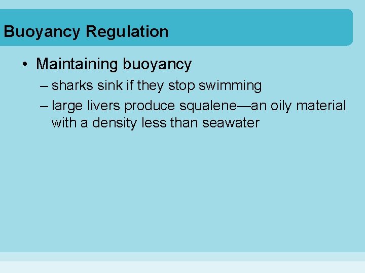 Buoyancy Regulation • Maintaining buoyancy – sharks sink if they stop swimming – large