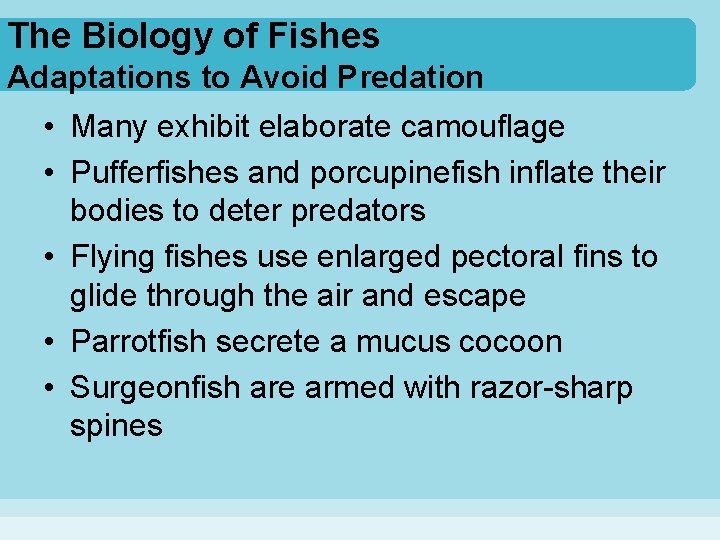 The Biology of Fishes Adaptations to Avoid Predation • Many exhibit elaborate camouflage •