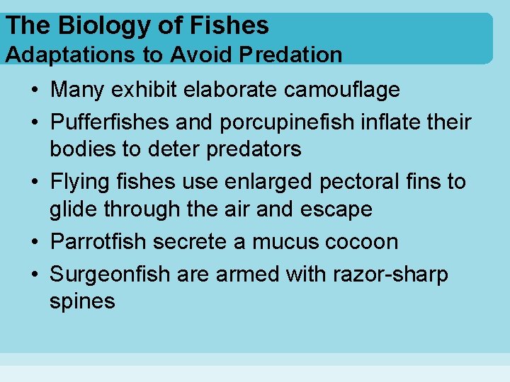 The Biology of Fishes Adaptations to Avoid Predation • Many exhibit elaborate camouflage •