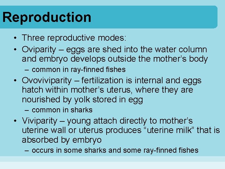 Reproduction • Three reproductive modes: • Oviparity – eggs are shed into the water