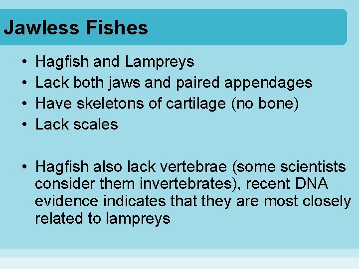 Jawless Fishes • • Hagfish and Lampreys Lack both jaws and paired appendages Have