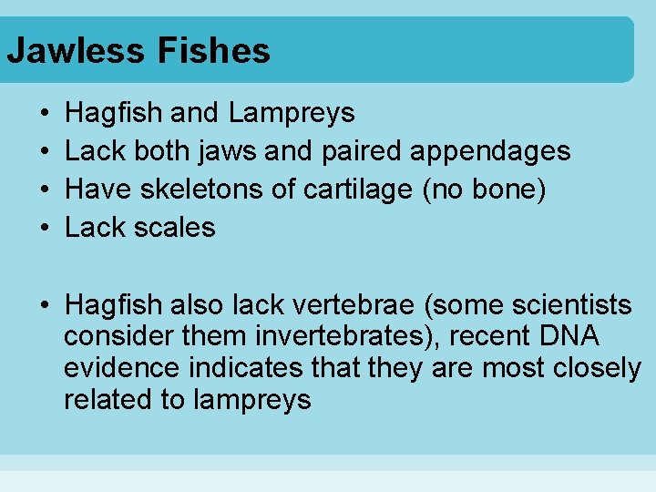 Jawless Fishes • • Hagfish and Lampreys Lack both jaws and paired appendages Have