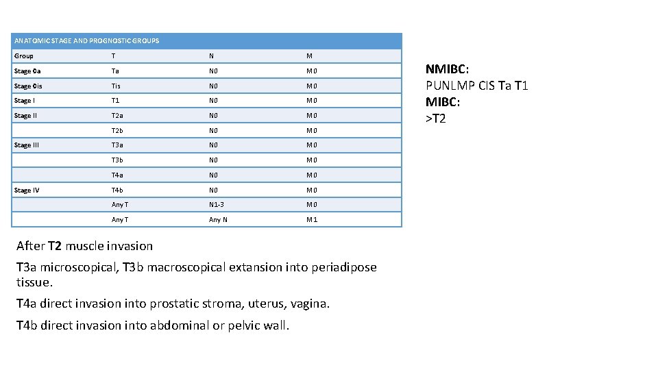ANATOMIC STAGE AND PROGNOSTIC GROUPS Group T N M Stage 0 a Ta N