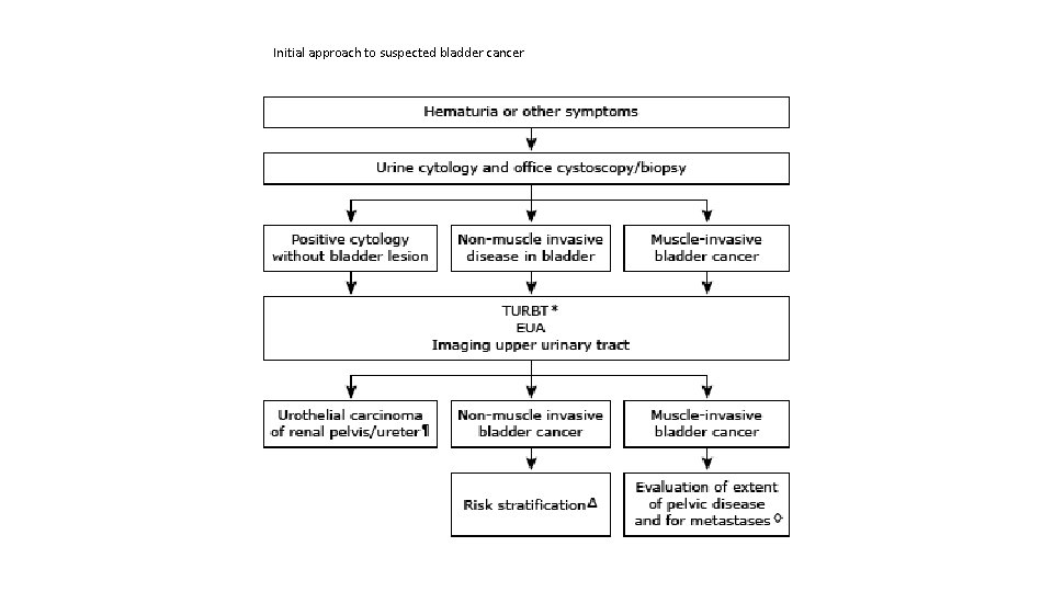 Initial approach to suspected bladder cancer 