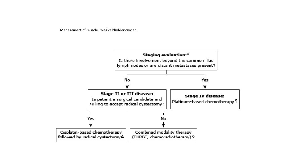 Management of muscle invasive bladder cancer 