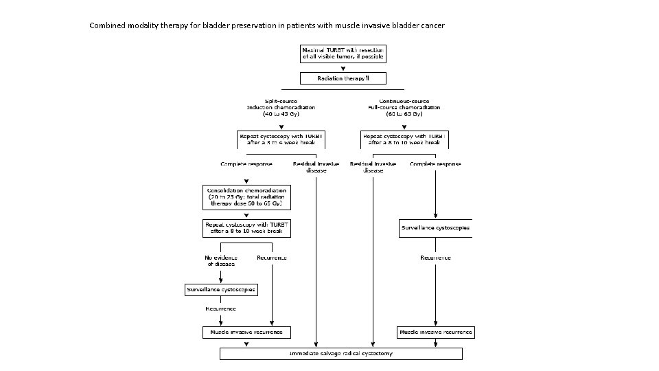 Combined modality therapy for bladder preservation in patients with muscle invasive bladder cancer 