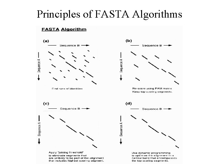 Principles of FASTA Algorithms Principles of FASTA Algorithms
