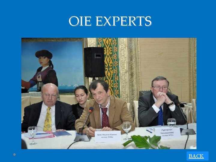 OIE EXPERTS BACK 