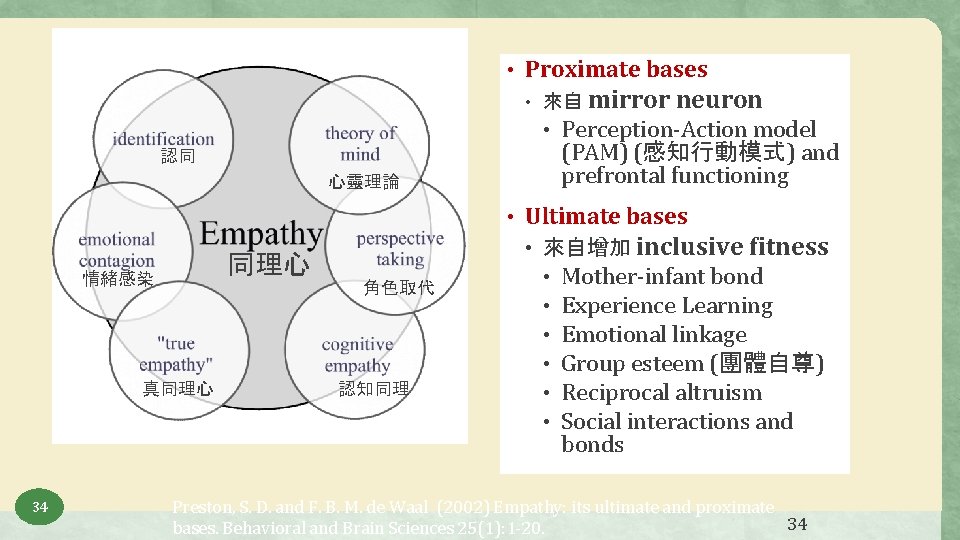  • Proximate bases • 來自 mirror neuron • Perception-Action model 認同 心靈理論 同理心