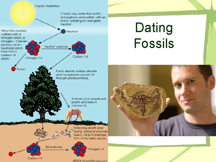 Dating Fossils 