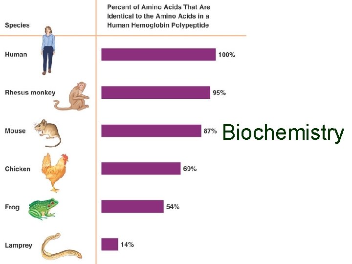 Biochemistry 