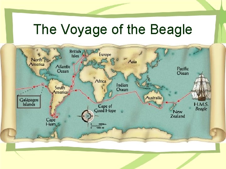 The Voyage of the Beagle 