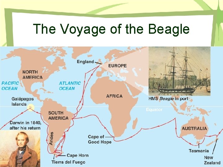 The Voyage of the Beagle 