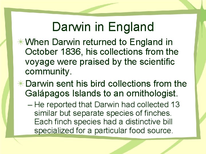 Darwin in England When Darwin returned to England in October 1836, his collections from