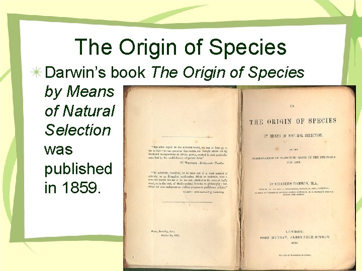 The Origin of Species Darwin’s book The Origin of Species by Means of Natural