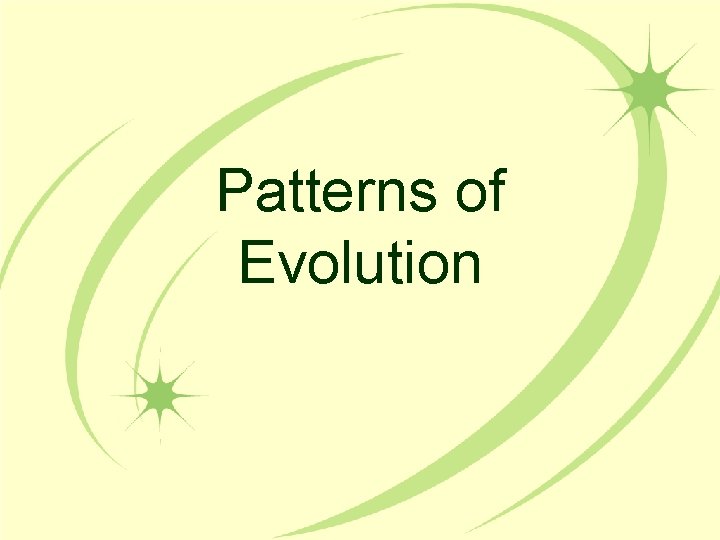 Patterns of Evolution 