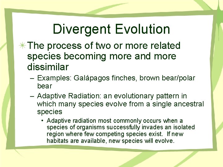 Divergent Evolution The process of two or more related species becoming more and more