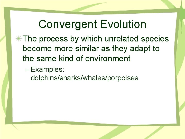 Convergent Evolution The process by which unrelated species become more similar as they adapt