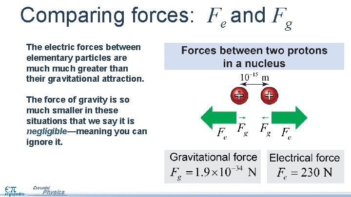 Comparing forces: Fe and Fg The electric forces between elementary particles are much greater